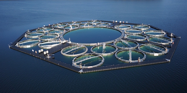Aquacosm