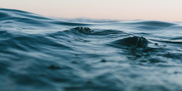 Aquacosm