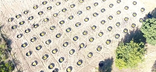 Ecoscope